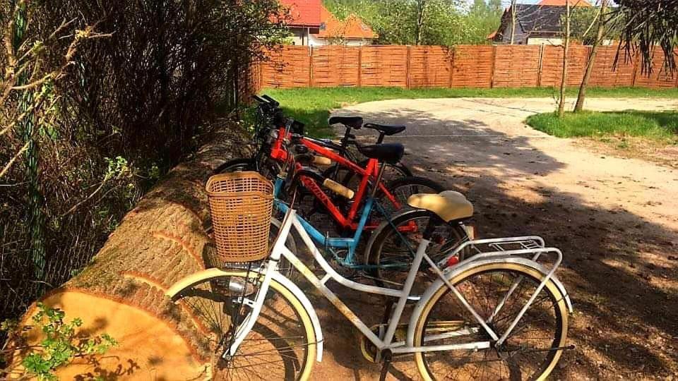 Miodowy Zakatek Caloroczne Domki I Pokoje Przy Suntago, Deepspot, Pyszne Sniadania, Grill, Ognisko Mszczonów Exteriör bild