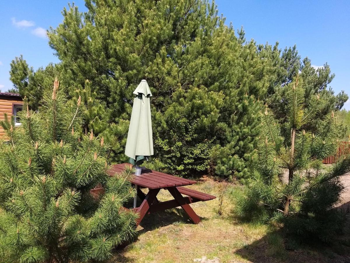 Miodowy Zakatek Caloroczne Domki I Pokoje Przy Suntago, Deepspot, Pyszne Sniadania, Grill, Ognisko Mszczonów Exteriör bild