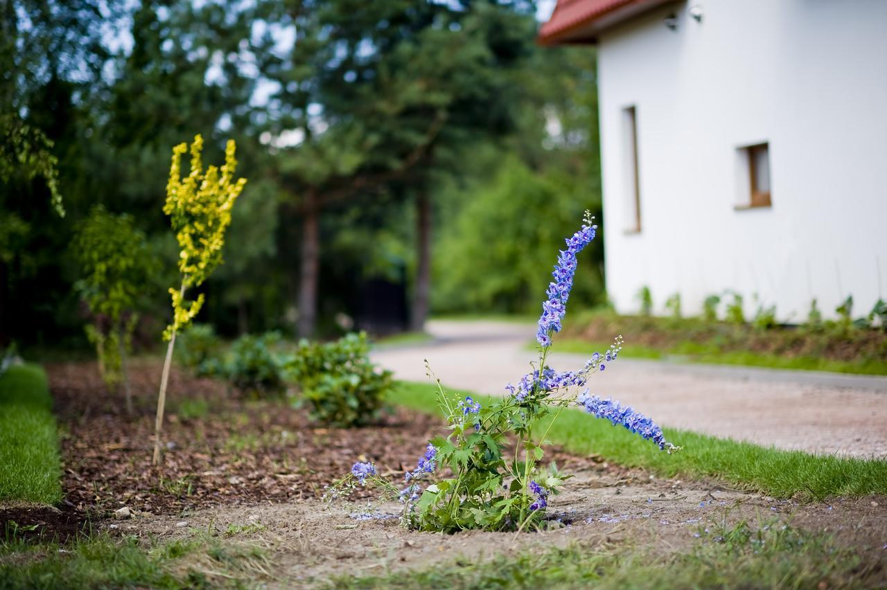 Miodowy Zakatek Caloroczne Domki I Pokoje Przy Suntago, Deepspot, Pyszne Sniadania, Grill, Ognisko Mszczonów Exteriör bild