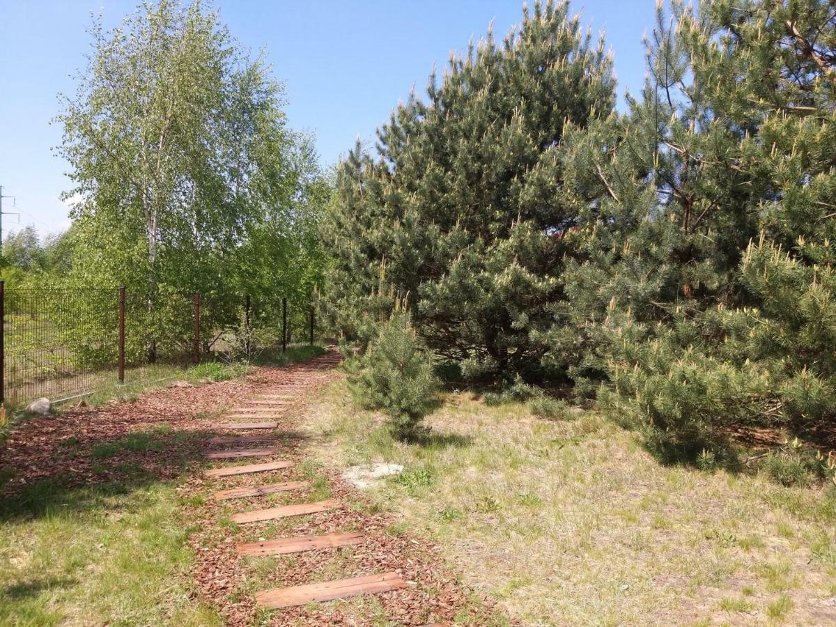Miodowy Zakatek Caloroczne Domki I Pokoje Przy Suntago, Deepspot, Pyszne Sniadania, Grill, Ognisko Mszczonów Exteriör bild